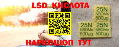индика Рузаевка