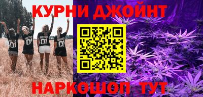 индика Рузаевка
