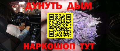 индика Рузаевка