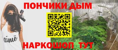 индика Рузаевка