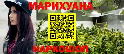 индика Рузаевка