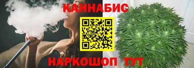 индика Рузаевка