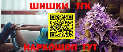 индика Рузаевка