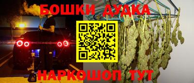 индика Рузаевка