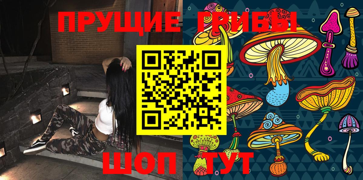 Воткинск  Псилоцибиновые грибы мицелий  Вход с VPN 